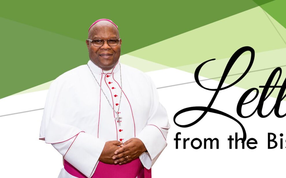 50595970_2046606115425378_4514703646839013376_o