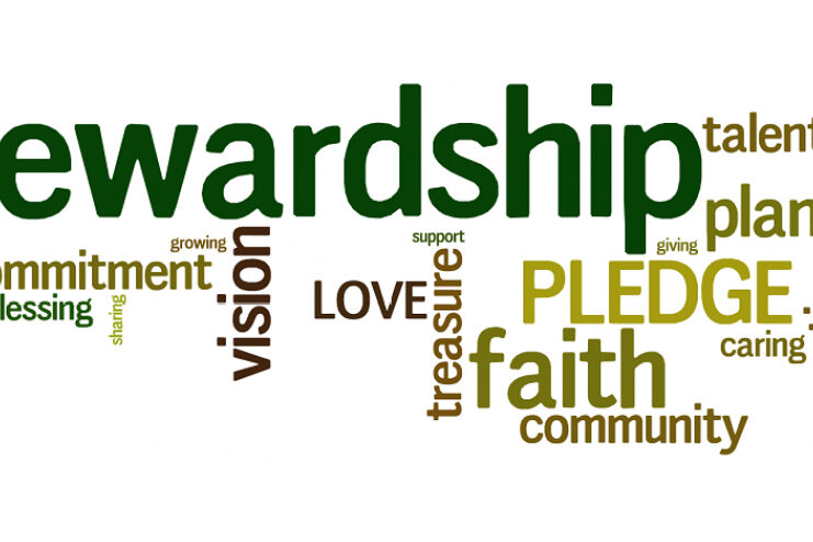 Stewardship-header-960×350