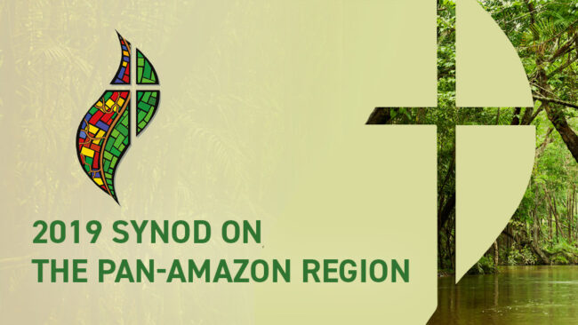 synod-pan-amazon-960×540