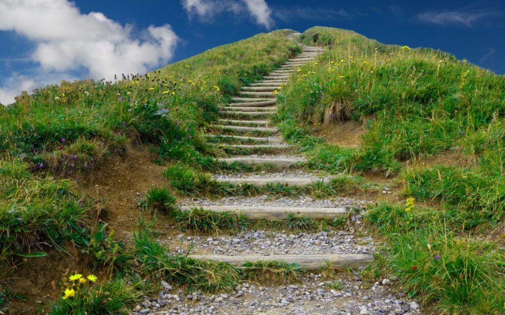 Mission-copy-1024×683