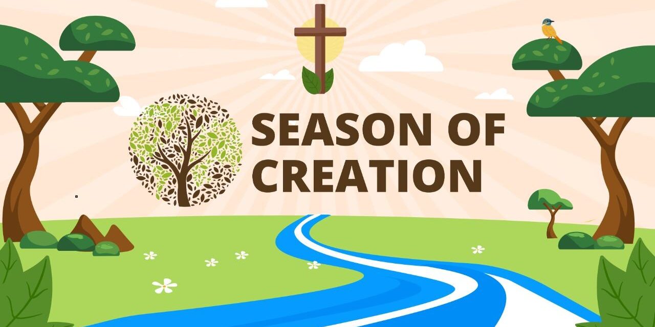 117240523_954941494929089_3215369043033252294_o