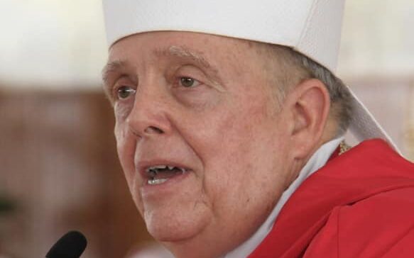 119087892_2870932603011291_8226408455375634824_n