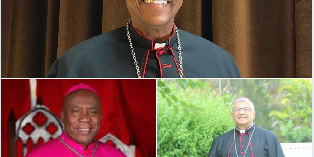 Screen Shot 2020-10-27 at 12.23.01 PM