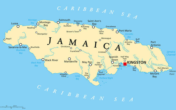 360_F_81138201_m12paNLfmxzgpmAF5PejEBIYcFB2lrDN