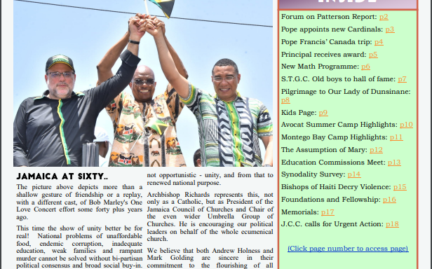 Online Catholic Opinion