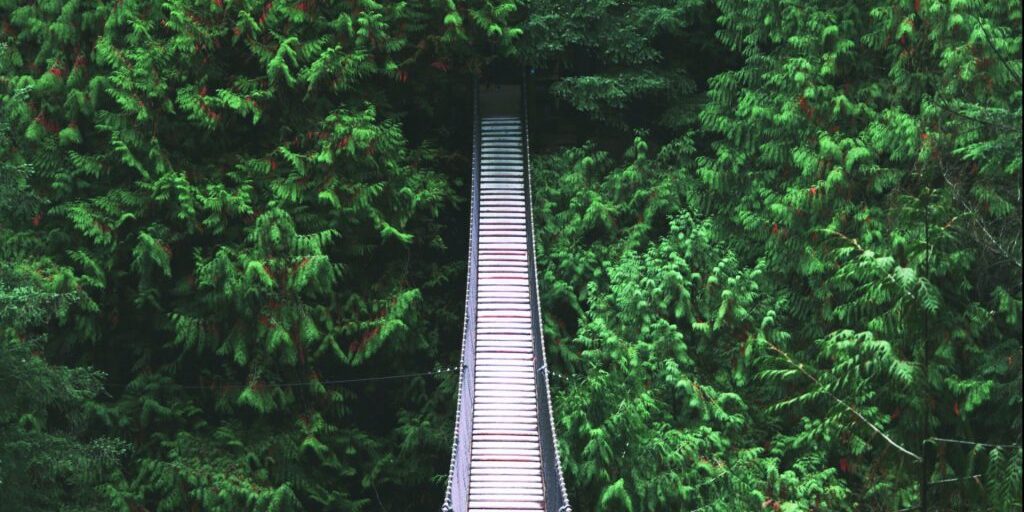 bridge-scaled-e1663098051724-1024×744