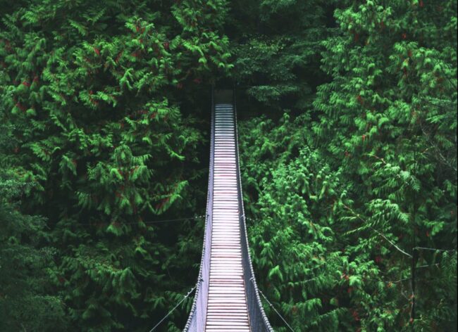 bridge-scaled-e1663098051724-1024×744