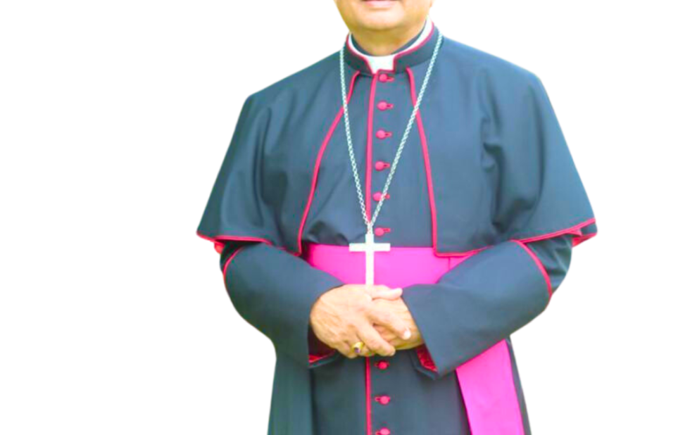 New Executive Board – AEC