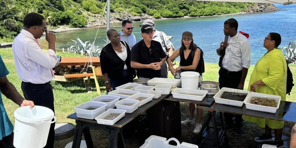 biodiversity-guadeloupe-1024×574