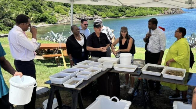 biodiversity-guadeloupe-1024×574