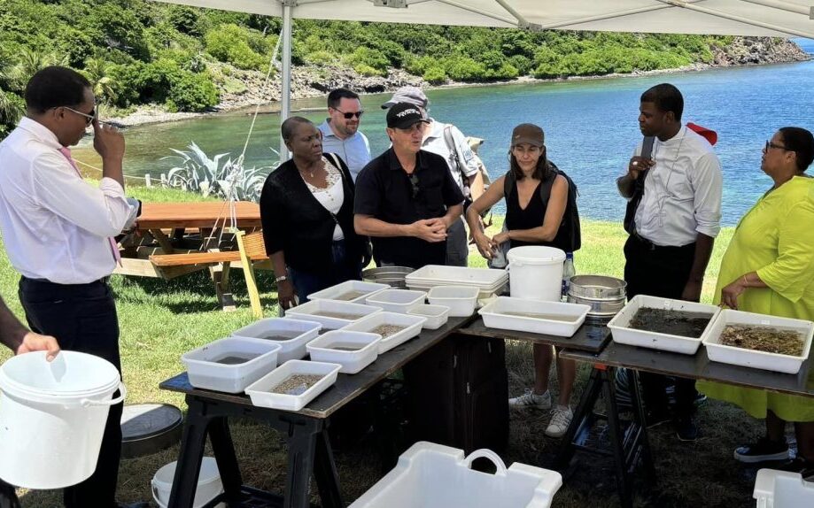 biodiversity-guadeloupe-1024×574