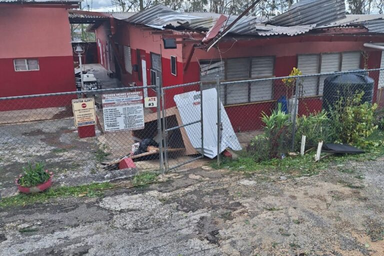 WhatsApp Image 2025-10-29 at 3.28.45 PM