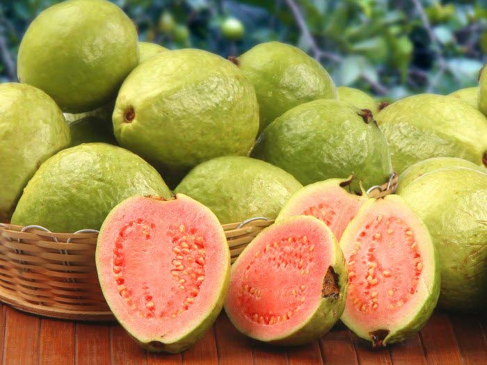 Guava season’ — dare to rejoice