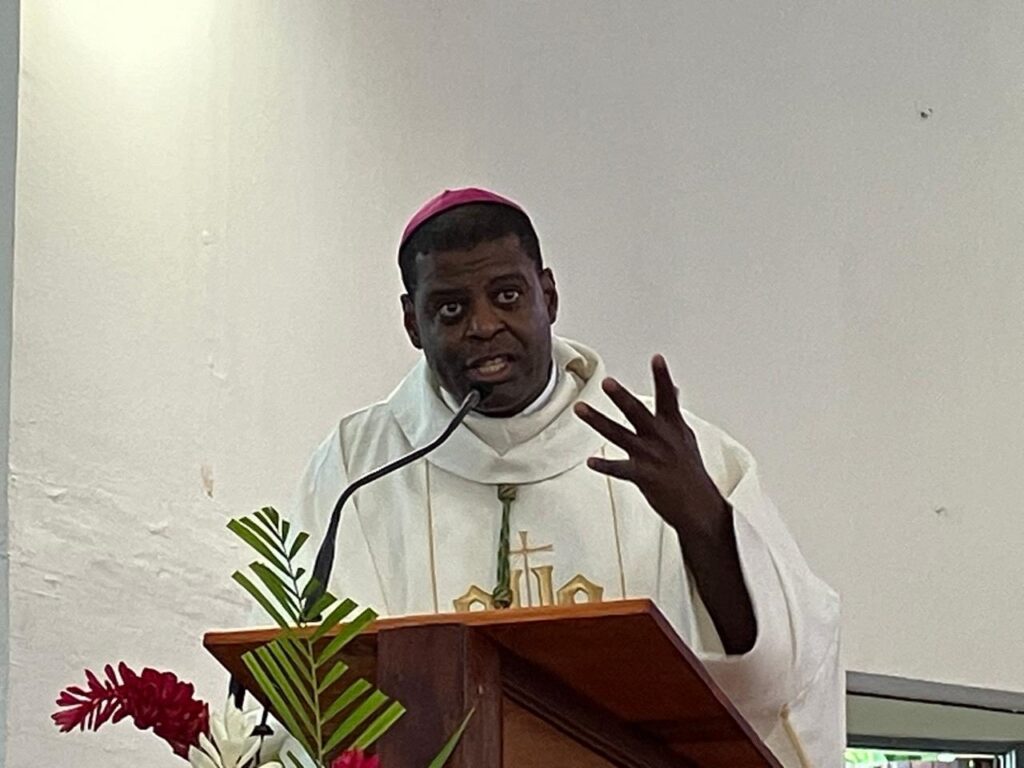 Parishioners assaulted, bishop comments