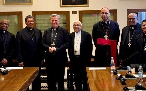 aec-and-cardinal-grech